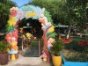 IMG 7995